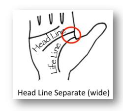 head line separate